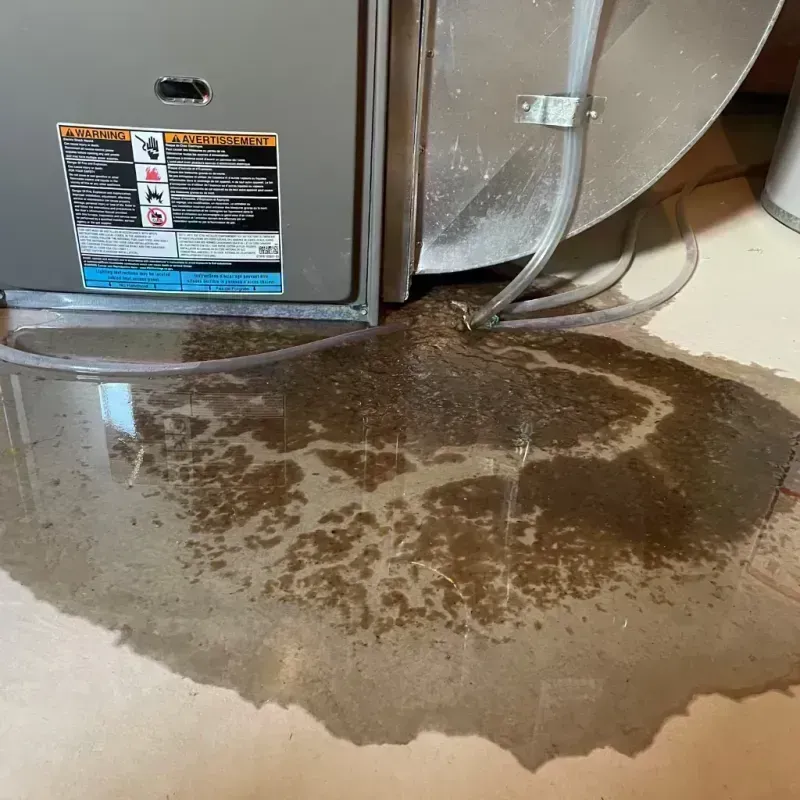 Appliance Leak Cleanup in Eureka, MO